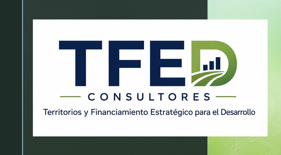 TFED Consultores